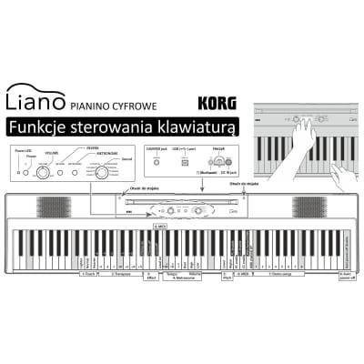 Korg L1 Liano Digital Piano - Portable Elegance image 10