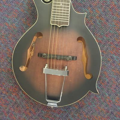 Gold Tone Mando Guitar Model F-6 Plays like Guitar-New with Case and Shop Setup! image 2