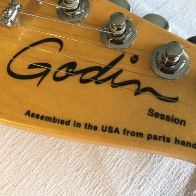 Godin Session (made in USA/Canada)  includes matching soft case image 6