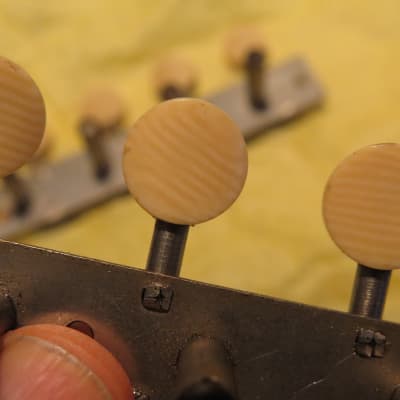 vintage 1800's early 1900's vintage mandolin tuners striped catalin/bone/ivory buttons image 4