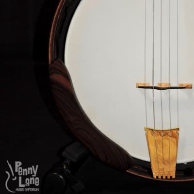 Nechville Midnight Phantom 24 Fret 5 String Mahogany Resonator Banjo image 5