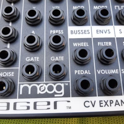 Moog VX-351/ CP-251 set and Rackmount kit Moogerfooger image 5