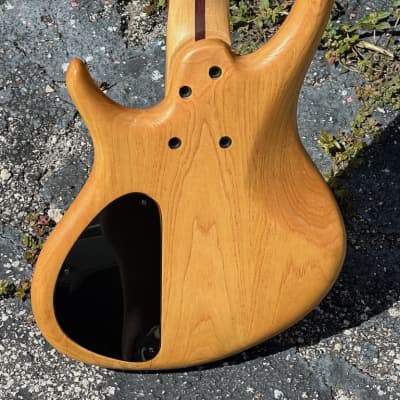 Tobias Growler Bass mid-90's - really sweet Ash bodied Funk Machine & its USA made. image 4