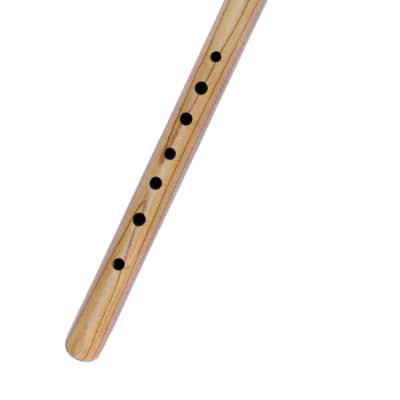  Professional Chalumeau Chalumeaux Mock Trumpet Woodwind Musical  Instrument MAC-505 (DO (C)) : Everything Else
