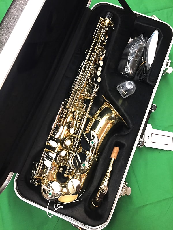 Selmer SAS-201 Student Alto Saxophone-New Old Stock-Never Played-Extras Included image 1