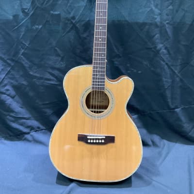 Zager ZAD-900 OMCE image 2