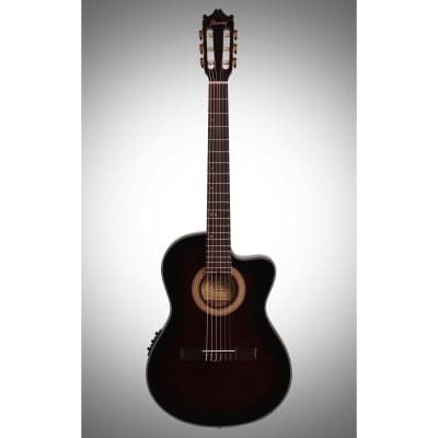 Ibanez GA35TCE Thinline Classical Acoustic-Electric Guitar image 2