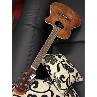 OVATION CS24P-NBM-G Celebrity Standard Plus Mid Roundback Elektro-Akustik-Gitarre, nutmeg burled for sale