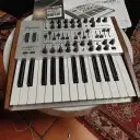 Arturia Minibrute SE 25-Key Synthesizer