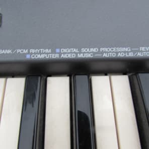 Yamaha PSR-19  1990's Black image 4