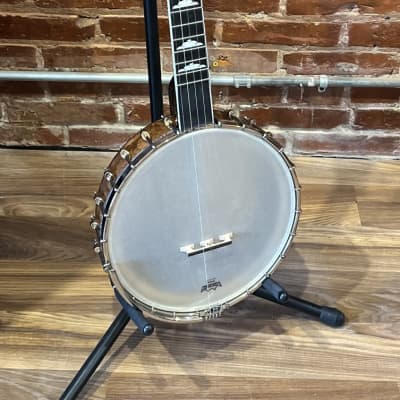 Whitewater Open Back 5 String Banjo with gig bag image 1