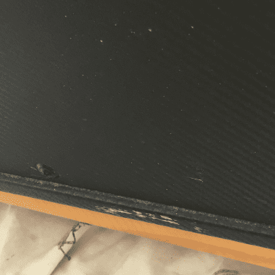 Fender Mustang V v.2 Modeling Amp- Cabinet and Head- 2013-2016 image 11