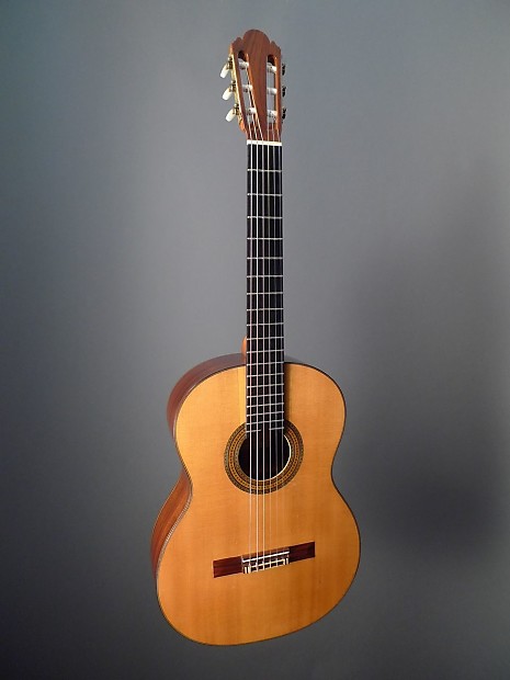 Ignacio fleta guitar price on sale