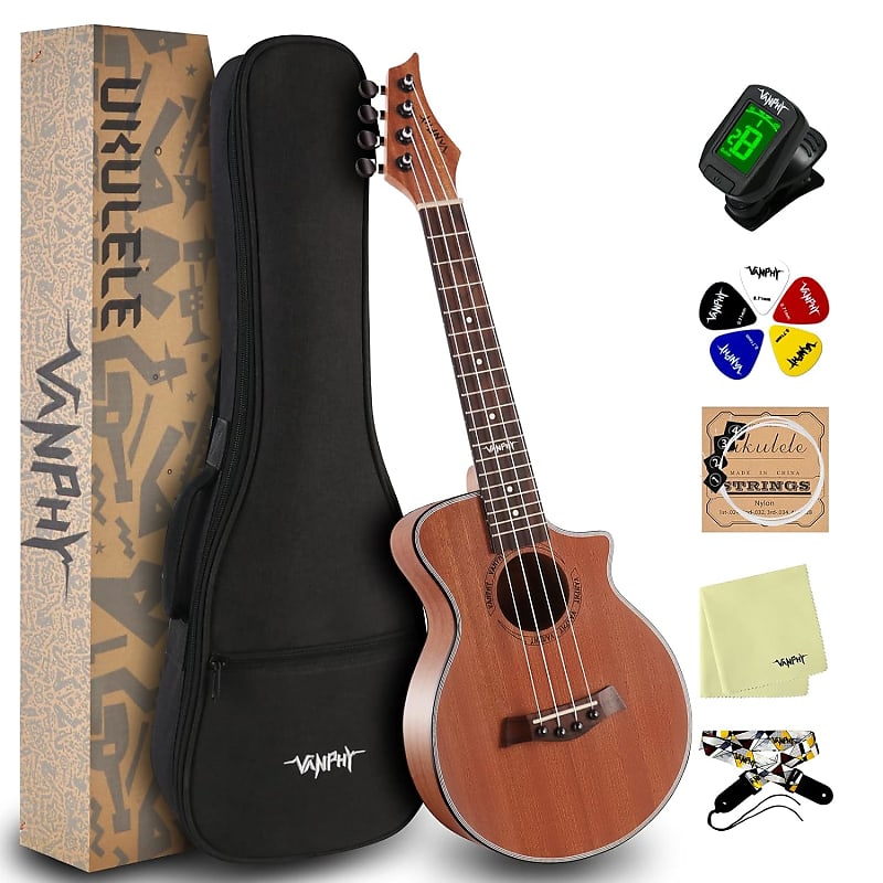 Beginner on sale ukulele concert