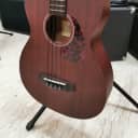 Ibanez PCBE12MH OPN Open Pore Natural Acoustic bass guitar with preamp