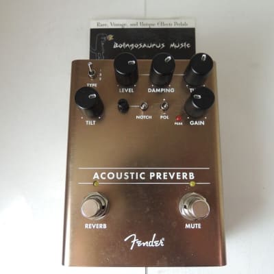 Acoustic Preverb – Fender