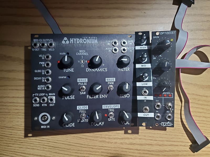Rare Waves Hydronium Eurorack acid mono synth semi modular tb 303 voice with EQ and Distortion image 1