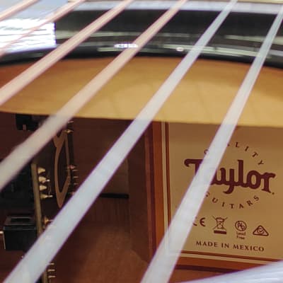 Taylor 214ce DLX LTD 2023 Acoustic Guitar with Electronics - Transparent Grey image 15