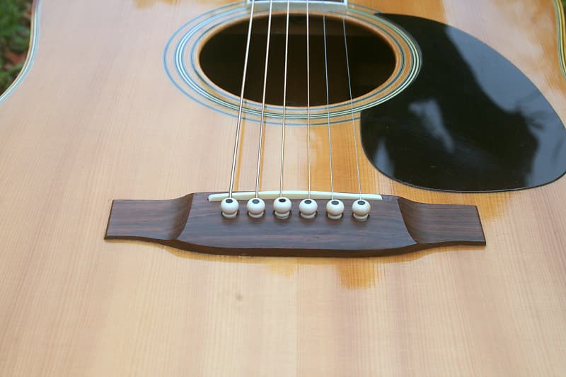 Takamine Elite TW 40 ハカランダ 1977 Takamine Elite TW-40 Dreadnought Size Guitar Natural+