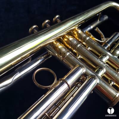 D. Calicchio 1s7 ML Sterling Silver leadpipe trumpet case gamonbrass image 13