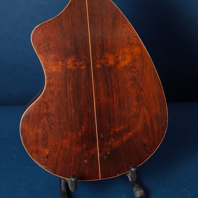 Giannini Craviola AWKNS6 / Nylon String and Bossa Ready! image 6