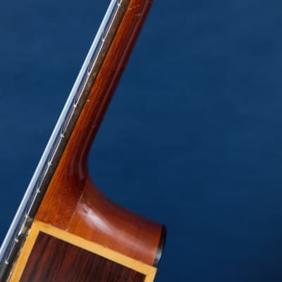 Giannini Craviola AWKNS6 / Nylon String and Bossa Ready! image 17