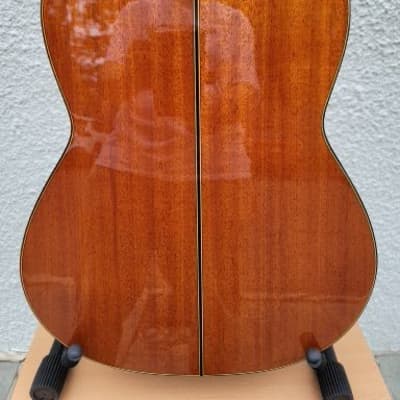 Cordoba C9 Parlor Classical Guitar Natural 2023 image 11
