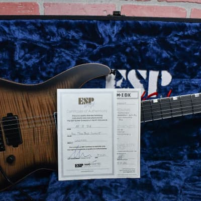 Esp USA Custom Shop M-I DX Flame Maple Top See Thru Black Burst 2024 w/OHSC image 11