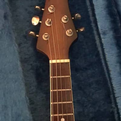 Kentucky KM300E 5-string electric mandolin image 11