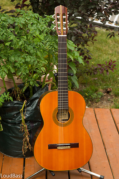 Mansfield on sale guitar shop