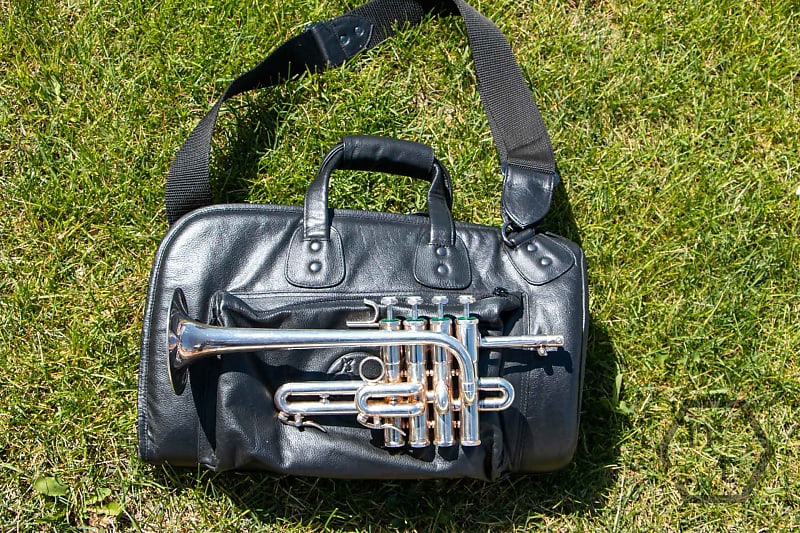 Schilke P54 Bb/A piccolo trumpet, silver plate Reverb