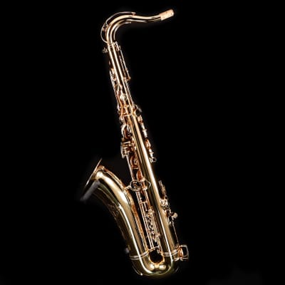 Selmer STS411 Step-Up Tenor Saxophone Outfit-Lacquer image 2