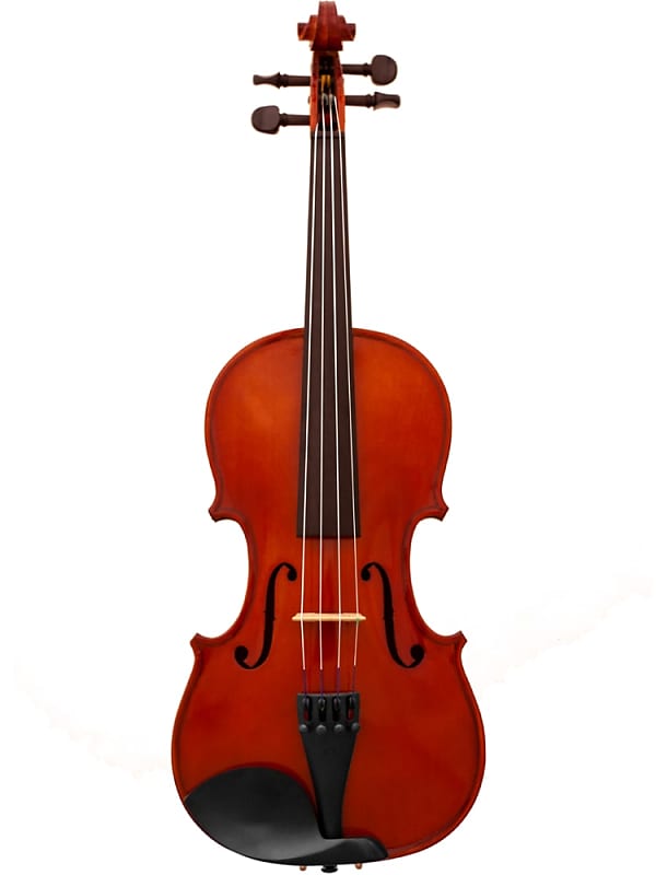 Maple Leaf Strings Apprentice Collection 4/4 Violin MLS110VN image 1