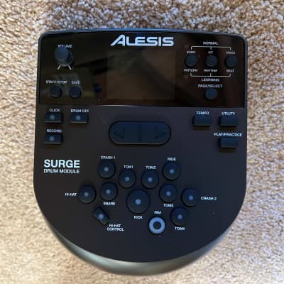 Alesis Surge Mesh Module Brain 2023 Reverb