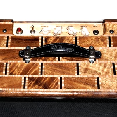Ashen "Goldy Emperor" 12 Watts 12" Custom Tube Guitar Amp Combo w/Reverb image 3