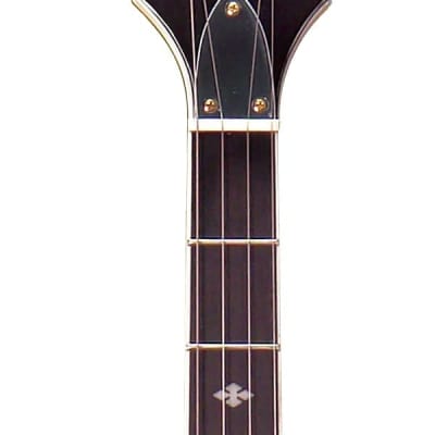 Gold Tone EBM-5 Electric Solid Body Maple Neck Mahogany Top 5-String Banjo w/Hard Case image 3