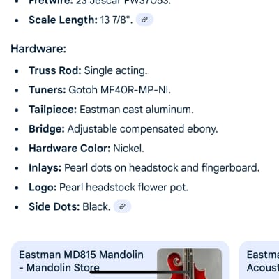 Eastman 815 2022 - Gloss image 14