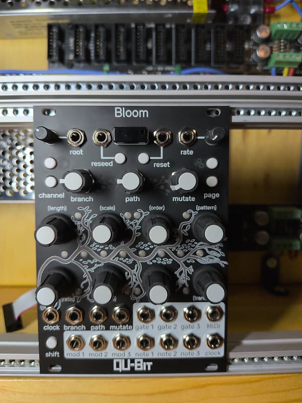 Qu-Bit Electronix Bloom v2