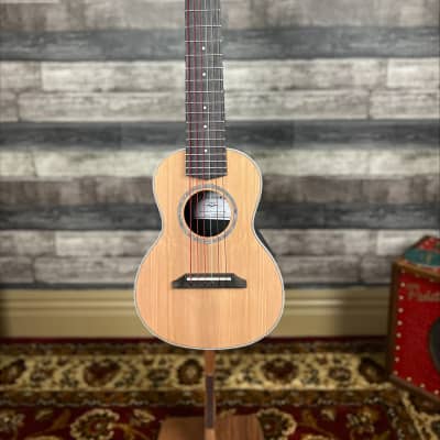 Aquila Micro Guitar Cedar Top (Standard E Tuning) image 6