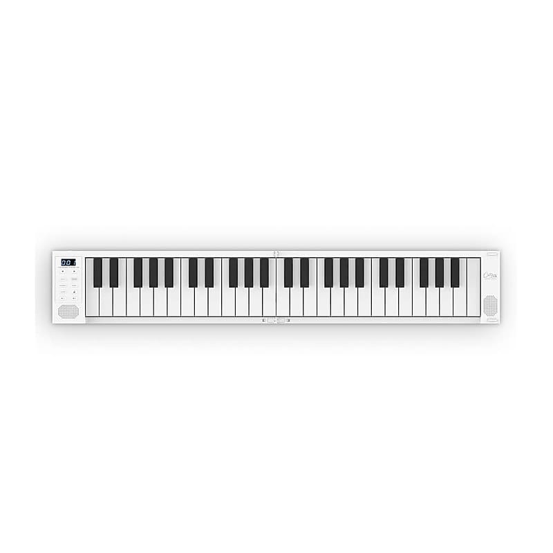 Carry-on Fold Piano 49-Key Portable Digital Piano image 1