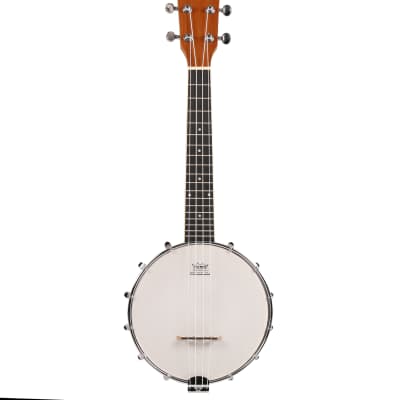 Fazley BN-50 6-String Banjo image 3