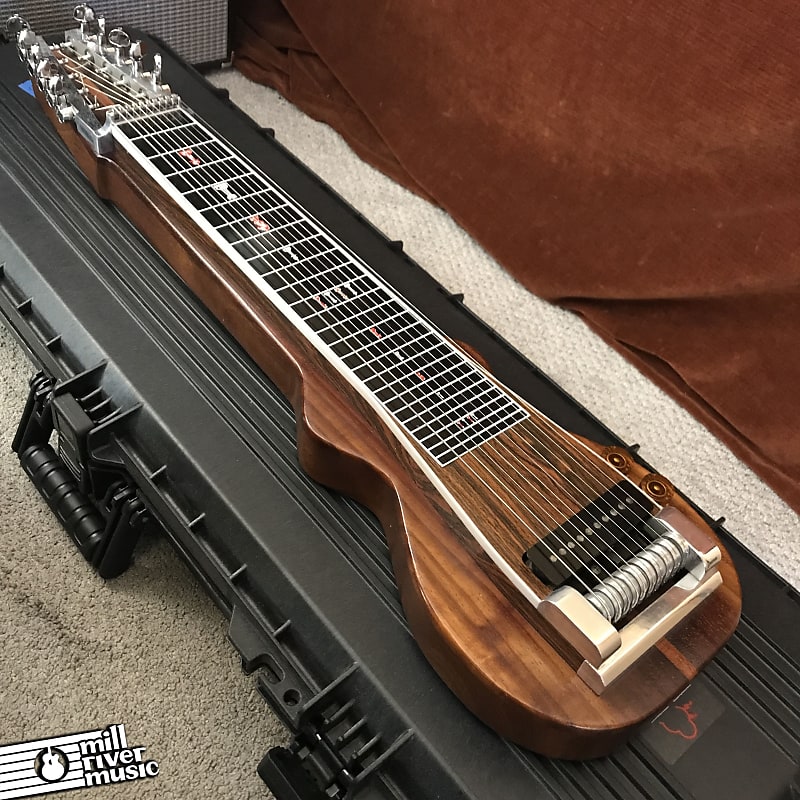 Custom 10 String Lap Steel w Flight Case Used