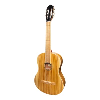 Martinez Full Size Student Classical Guitar Pack with Built In Tuner (Jati-Teakwood) image 2