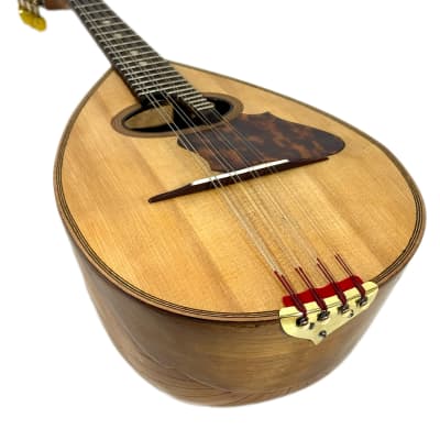 Concert Mandolin Emanuele Egildo N°299 from 1912 image 15
