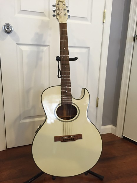 Washburn ea20 deals series