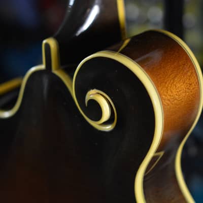Lebeda F5 Standard+ Mandolin 2005 - Tobacco Sunburst image 15