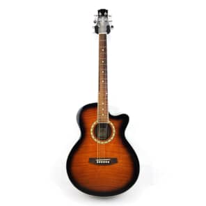 Ashton アシュトン チューナー機能内蔵 エレアコ SL29CEQ TBB Ashton アシュトン チューナー機能内蔵 エレアコ SL29CEQ TBB