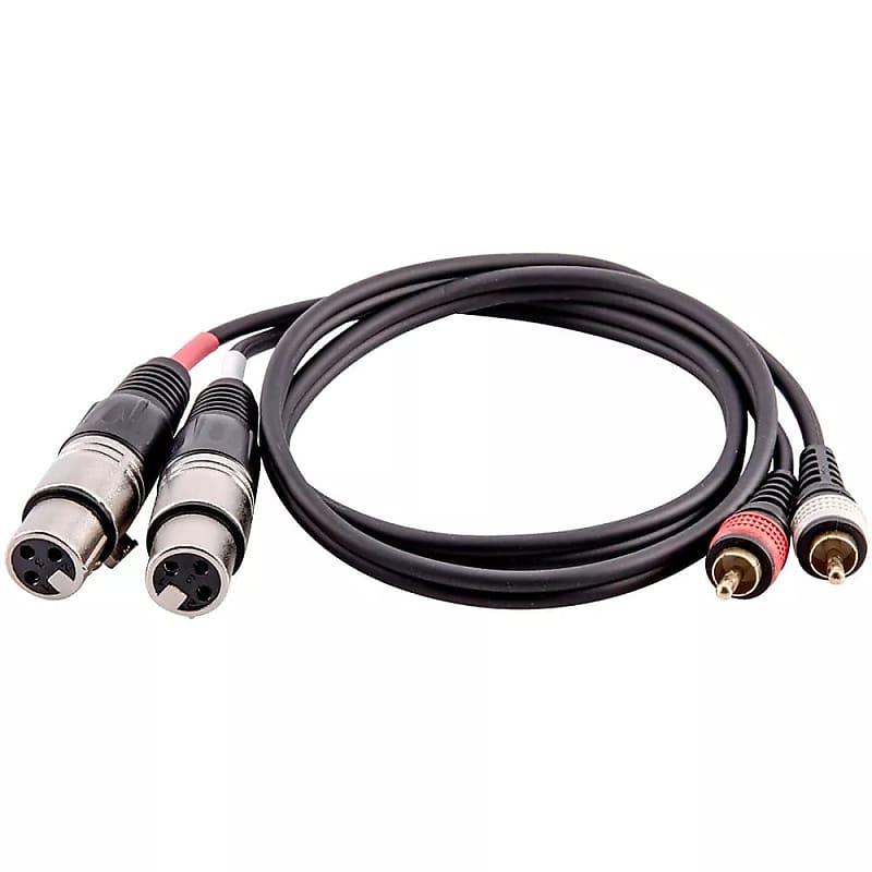 3 Foot 2 Xlr Female To 2 Rca Male Patch Cable - Dual Xlrf To Dual Rca Audio Cord image 1
