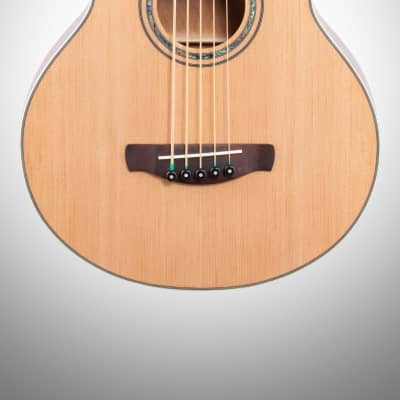Ibanez AEB105E Acoustic-Electric Bass, 5-String image 3