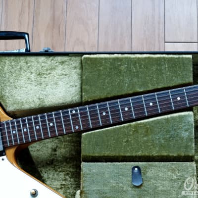 All Original 1984 Greco Explorer EX-800 like Ibanez Destroyer image 11